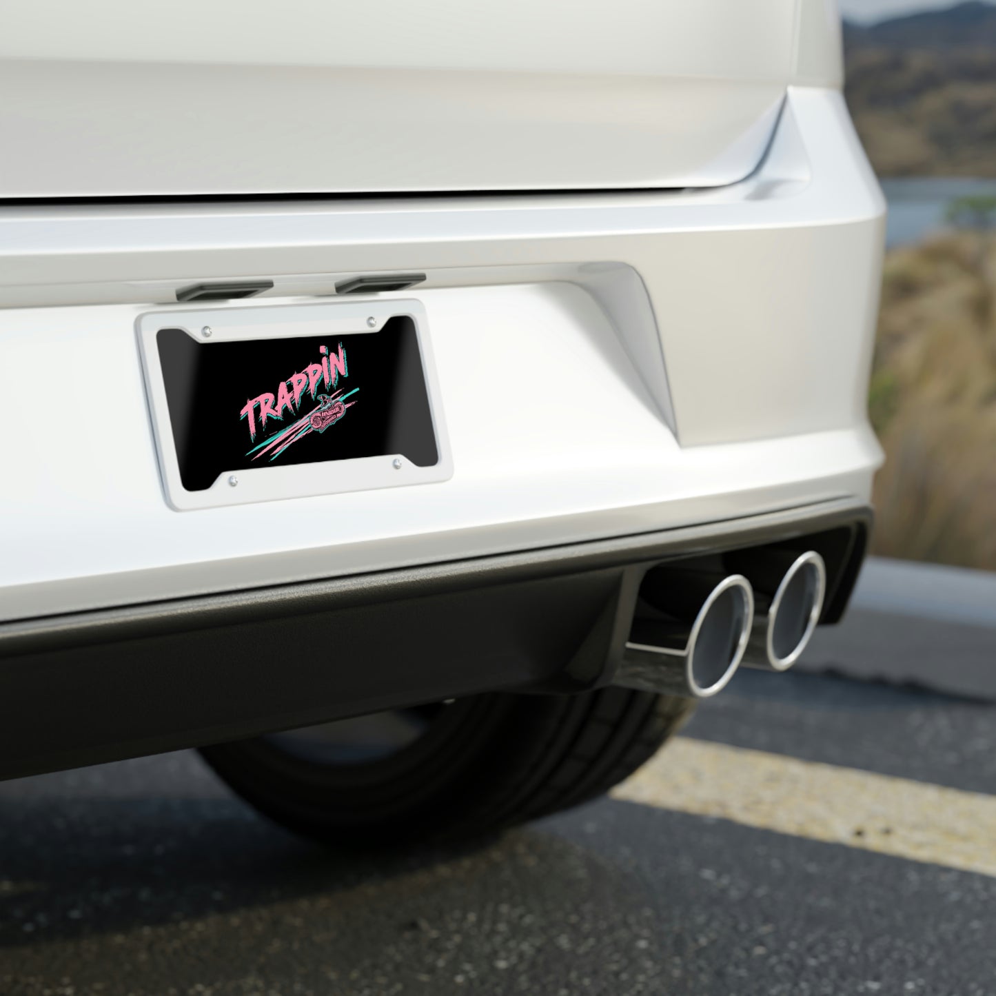 By Unique License Plate